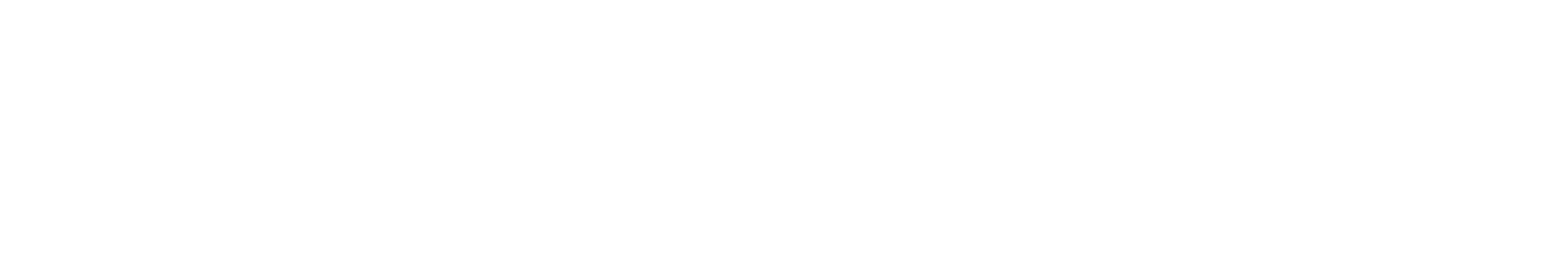 Official brand of Lions International